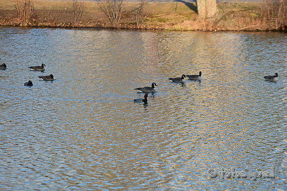 DSC_1203