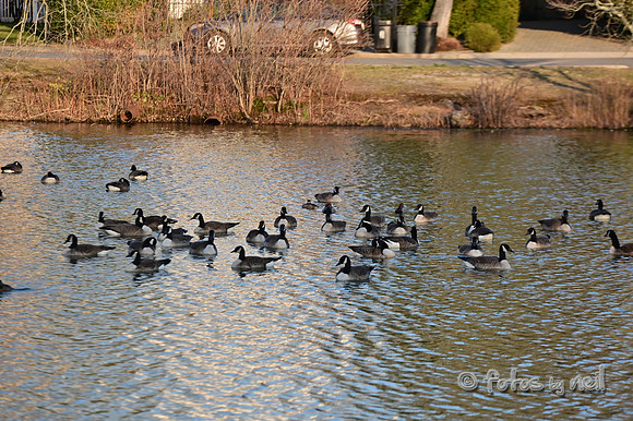 DSC_1156