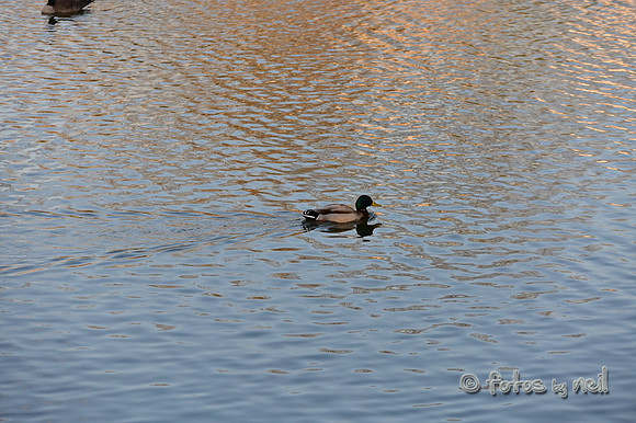 DSC_1201
