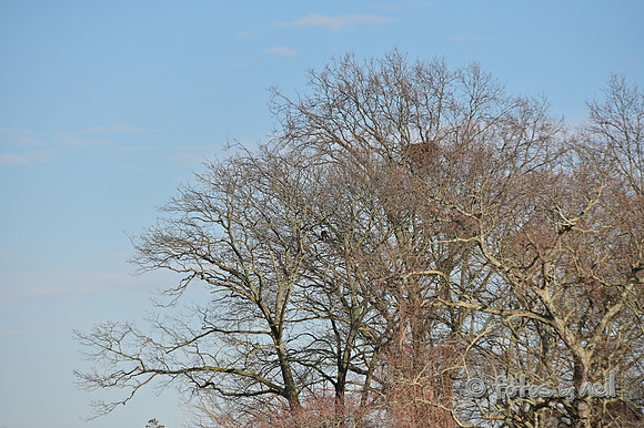 DSC_0920