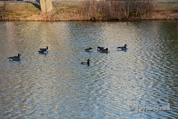 DSC_1210