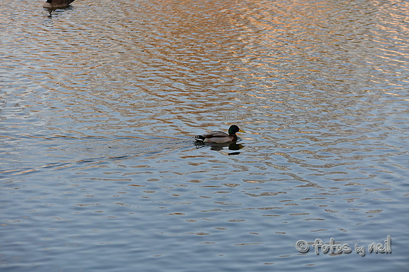 DSC_1200