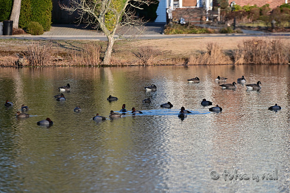 DSC_1001