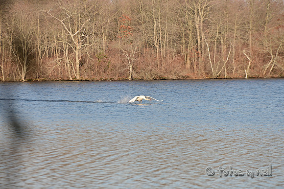 DSC_0959