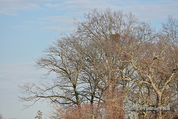 DSC_0979