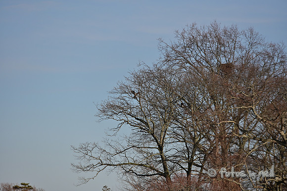 DSC_0903