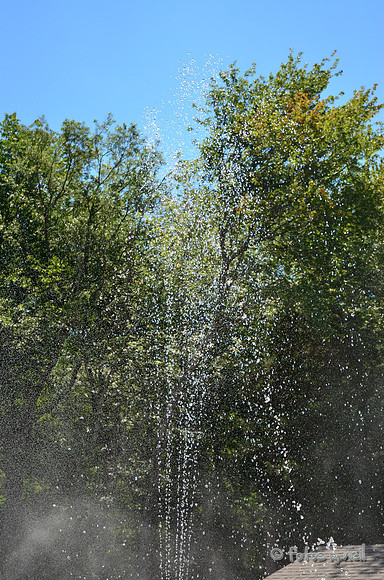 DSC_4106