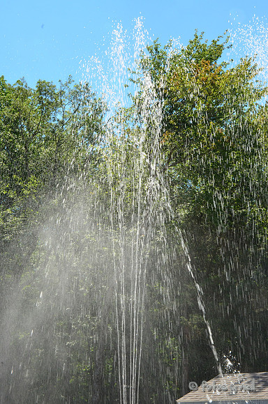 DSC_4107