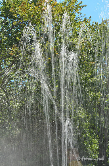DSC_4108