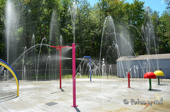 DSC_4115