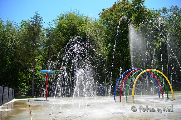 DSC_4117
