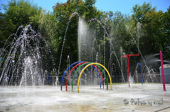 DSC_4118