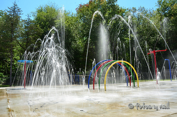DSC_4121