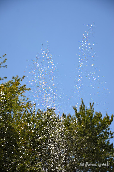DSC_4125