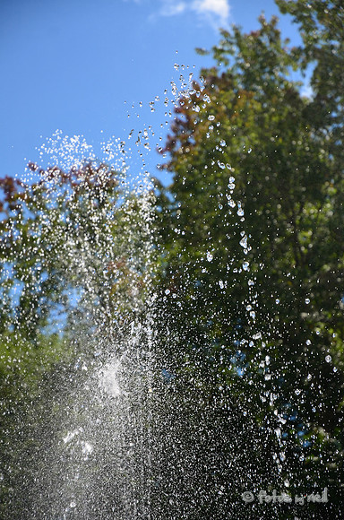 DSC_4128