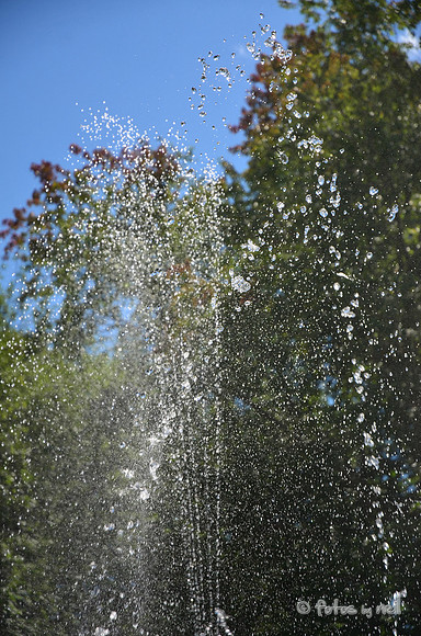 DSC_4129