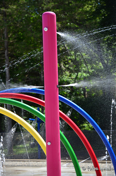 DSC_4130
