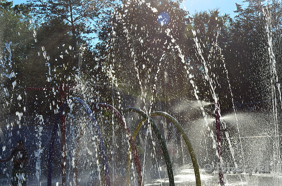 DSC_4157