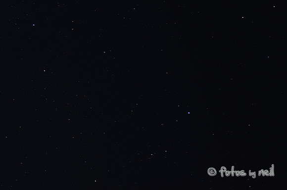 DSC_4185