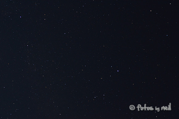 DSC_4186