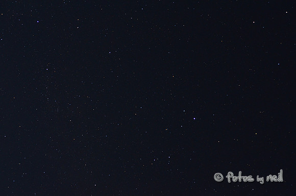DSC_4187