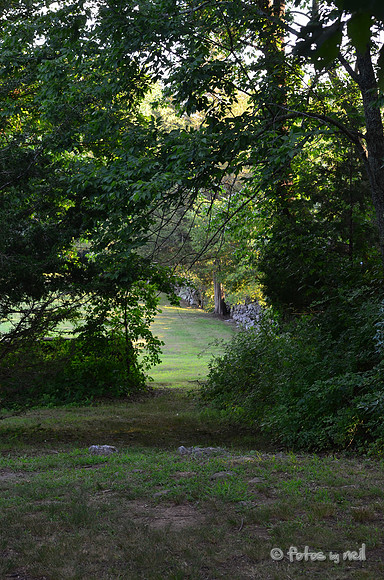 DSC_4310