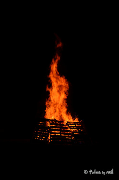 DSC_4429