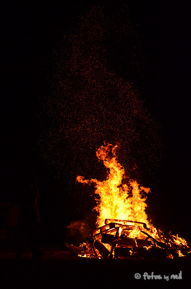 DSC_4449