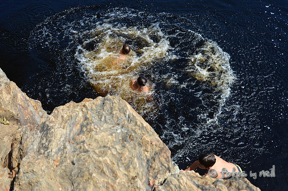 DSC_4538