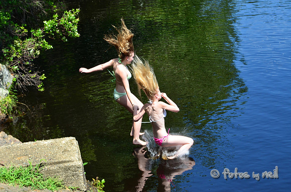 DSC_4590