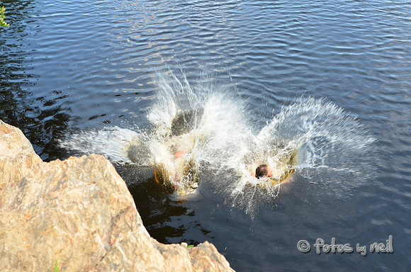 DSC_4627