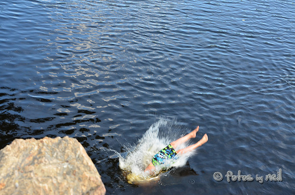 DSC_4635
