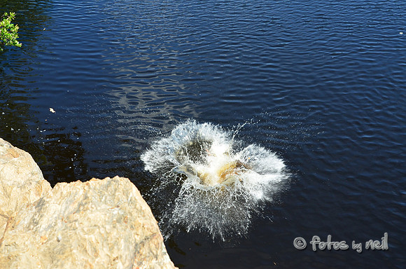 DSC_4643
