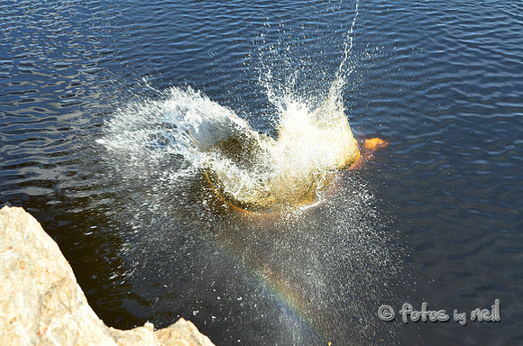 DSC_4665