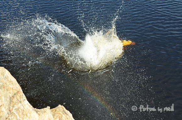 DSC_4666