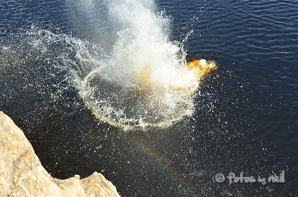 DSC_4667
