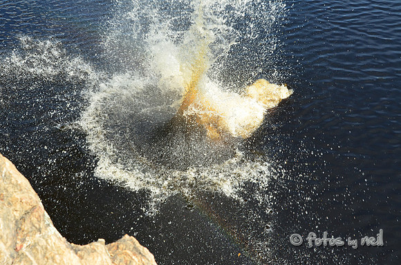 DSC_4668