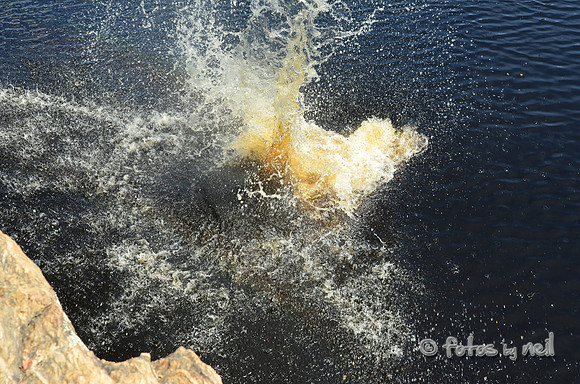 DSC_4669