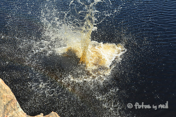 DSC_4670