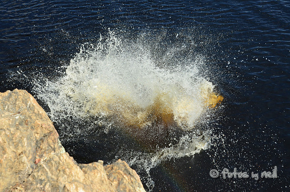 DSC_4679