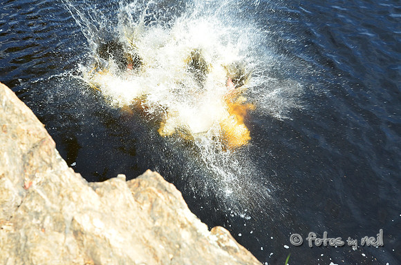 DSC_4687