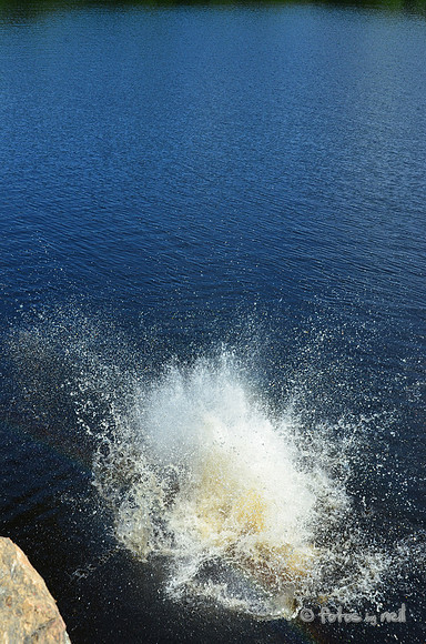 DSC_4761