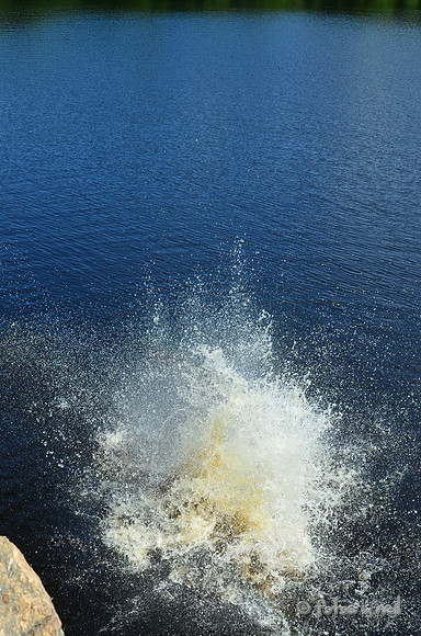 DSC_4762