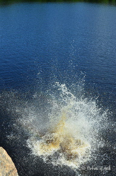 DSC_4763
