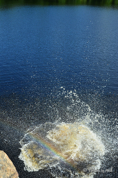 DSC_4765