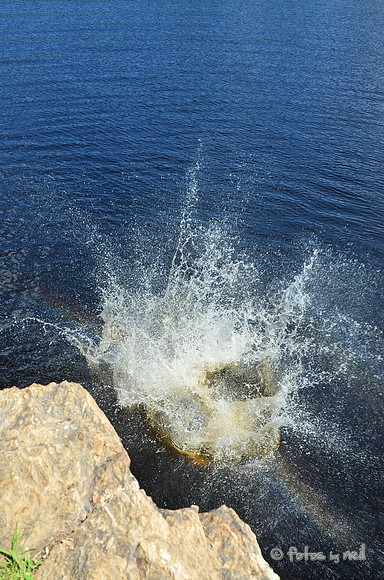 DSC_4774