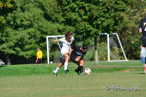 DSC_1850