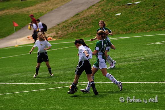 _DSC0579