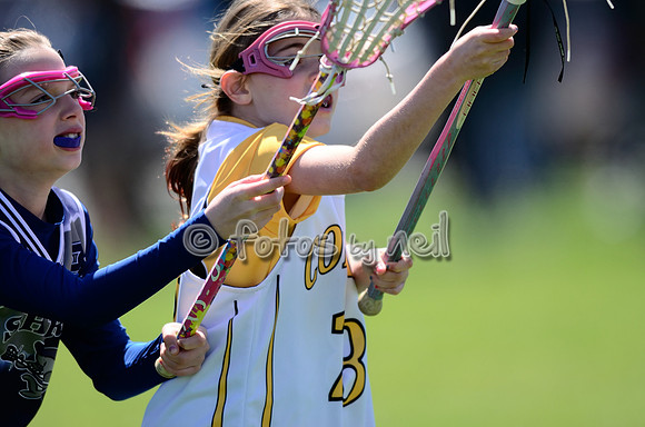 _DSC9242
