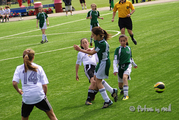 _DSC0570